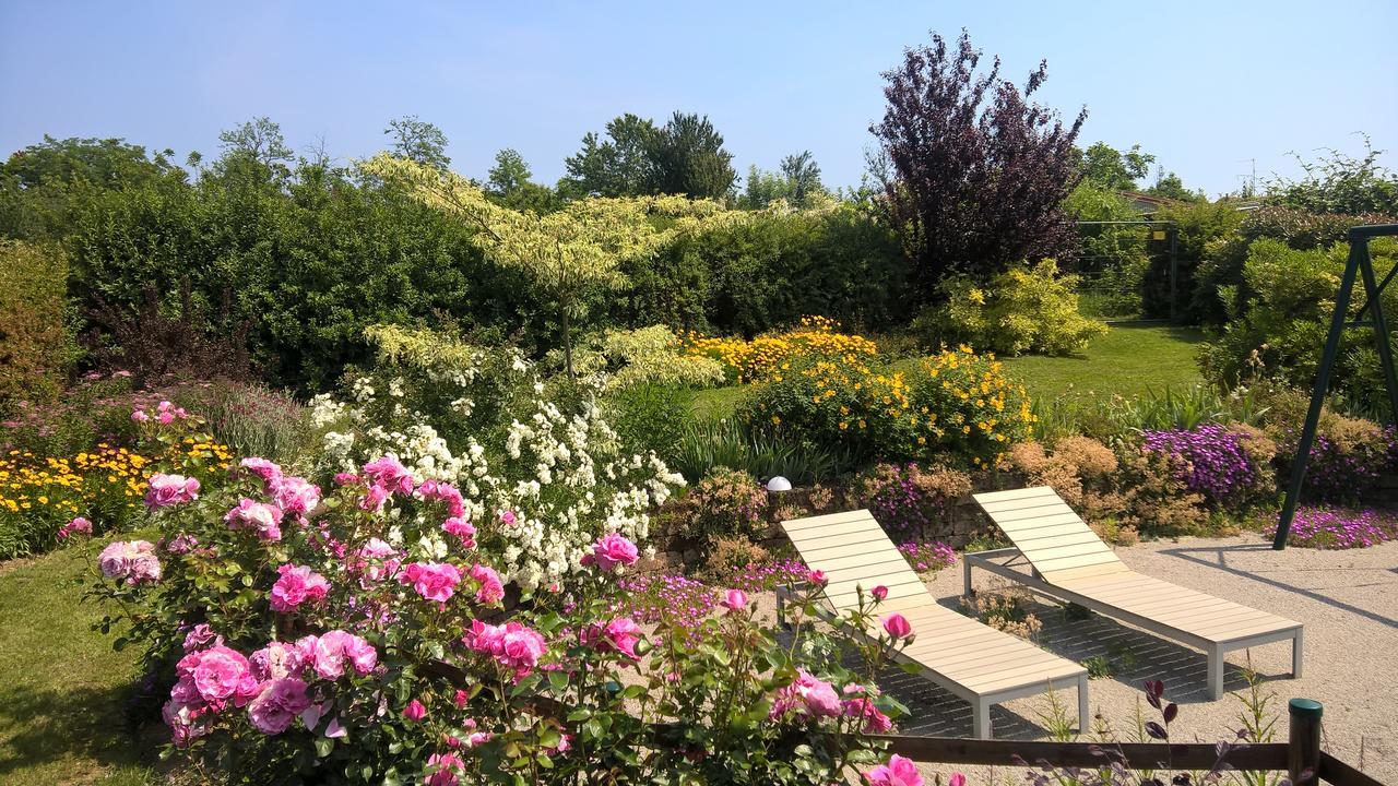 La Collina Since 2008 No Smoking B&B 瓦雷泽 外观 照片